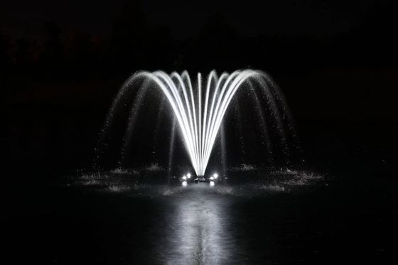 ज्वैल क्राउन 3 इंच 3 डी डी 80 वाटर फीचर स्प्रे हेड