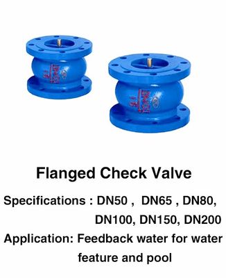 पूल फव्वारा सहायक उपकरण परिष्कृत DN25 1 इंच Flanged चेक वाल्व