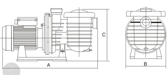 प्लास्टिक 2 इंच 1HP स्विमिंग पूल फाउंटेन पंप