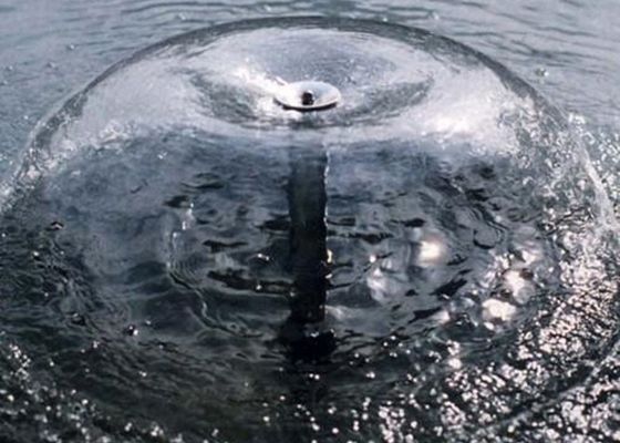 DN15 1/2 "पूरी तरह से पीतल का पानी बेल फव्वारा नोजल